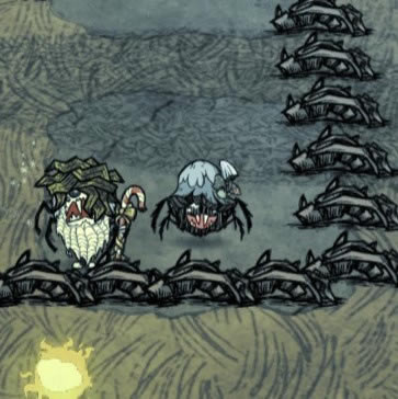 ����������С֩�����ñ����ۼ������ȫ_��վ