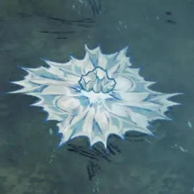 籩֮bossٻ Ӣôٻ_վ