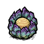 ��������˵��ɽ�����ü��ϳɷ��� ��ɽ����ʲô��