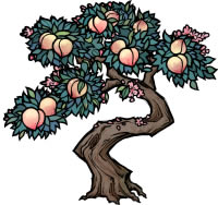 ��������˵MODȫֲ��ͼ�� ֲ��Ч����������Ʒ_��վ