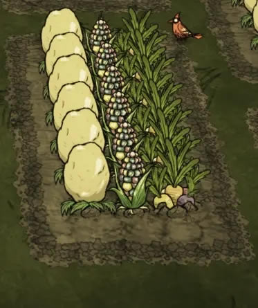 ���������洺������޴���ֲ���� �����޴����������ĵ�_��վ