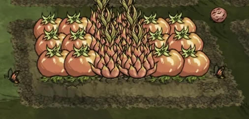 ���������洺������޴���ֲ���� �����޴����������ĵ�_��վ