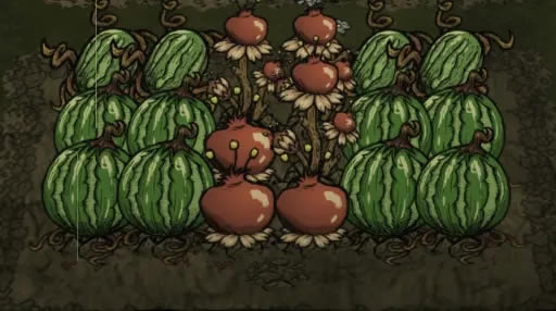 ���������洺������޴���ֲ���� �����޴����������ĵ�_��վ