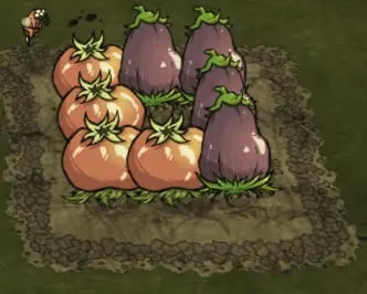 ����������޴������γɹ������