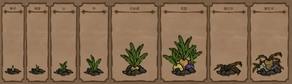 ����������ֲ���б��еķ��Ž���_��վ