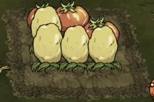 ���������洺������ֲ������� ������ֲ����_��վ