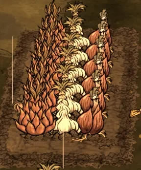 ���������洺������ֲ������� ������ֲ����_��վ