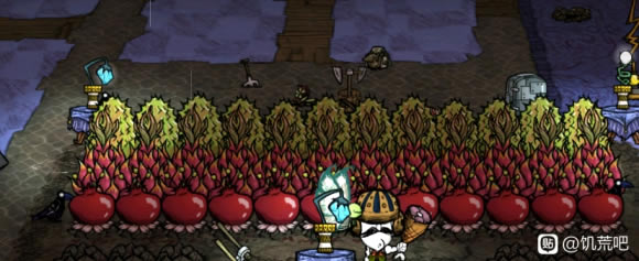 ����������޴󻯻�������ֲ���� �޴󻯻����������