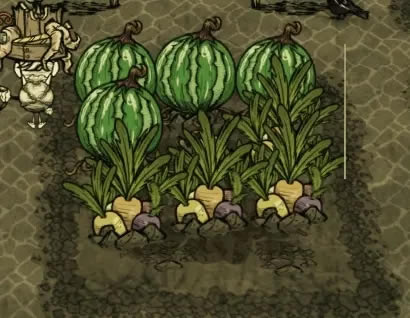 �����������ֹϵù��޷�����ֲ�������_��վ