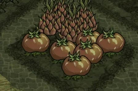 �����������ֹϵù��޷�����ֲ�������_��վ