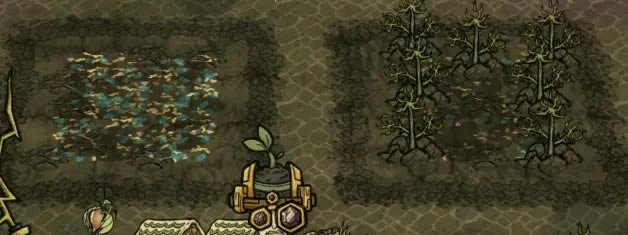 �����������ֹϵù��޷�����ֲ�������_��վ