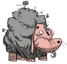 ����������BOSSͼ�� ȫ����BOSS��������Ʒ��ȫ