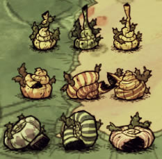 ���ı�����ȡ�ù��� ȫ9�ֱ�������������