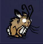 �����ǿ�