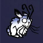 �����ǿ�