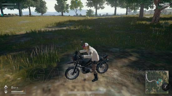 ǿ