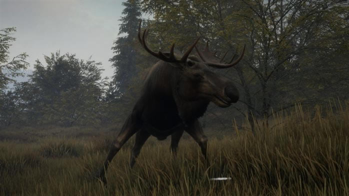 ���˻�Ұ���ٻ����ٺ�����¹����ָ��_��վ