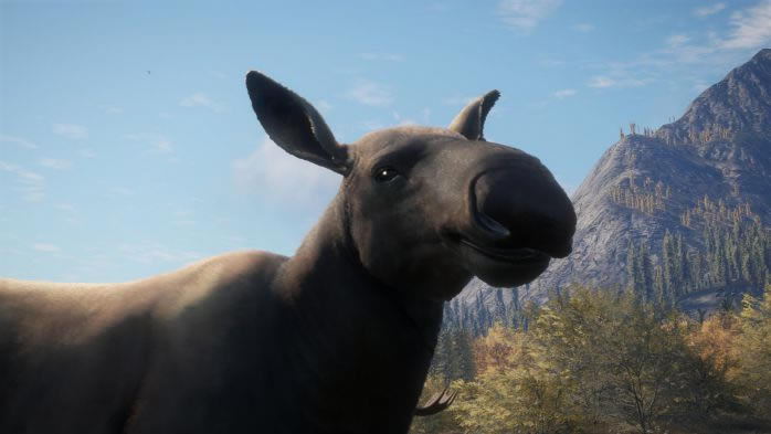 ���˻�Ұ���ٻ����ٺ�����¹����ָ��_��վ