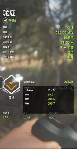 ���˻�Ұ���ٻ����ٺ�����¹����ָ��_��վ