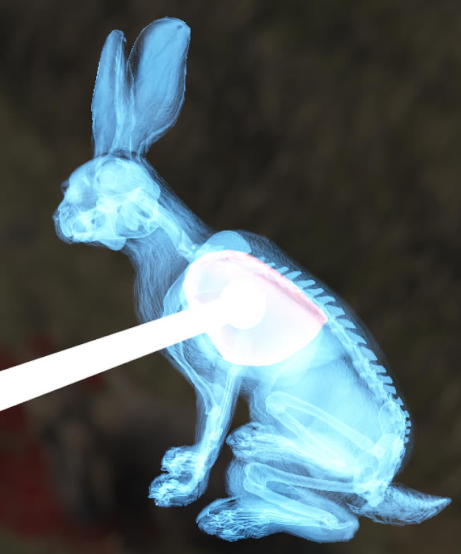 ���˻�Ұ���ٻ���ǹ��ɱͼ��˵���̳� ���������λ�ܽ�