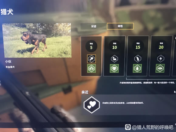 ���˻�Ұ���ٻ���Ȯ�ӵ㹥�� ��Ȯ��ʲô���ܺ�