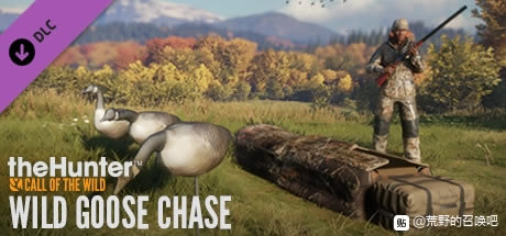 ���˻�Ұ���ٻ�2021��DLC�����Ƽ� ȫDLC���ݽ���_��վ