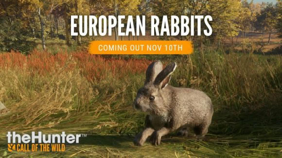 ���˻�Ұ�ĺ���11��11�ո��������б� ����ŷ����������������