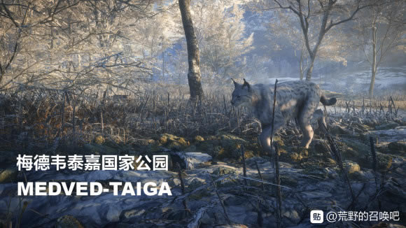 ���˻�Ұ���ٻ������������Թ��� ÷��Τ̩�ι��ҹ�԰����ָ��_��վ