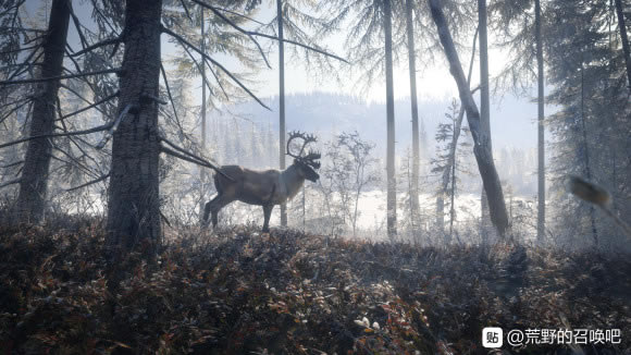 ���˻�Ұ���ٻ������������Թ��� ÷��Τ̩�ι��ҹ�԰����ͼ��˵���̳�