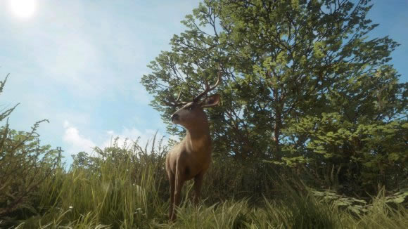 ���˻�Ұ���ٻ���¹���Ե�λ��ȫ ��������¹���Թ���