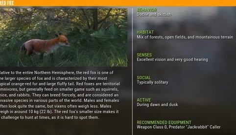 ���˻�Ұ�ĺ���������ʲô�ط�? �������������