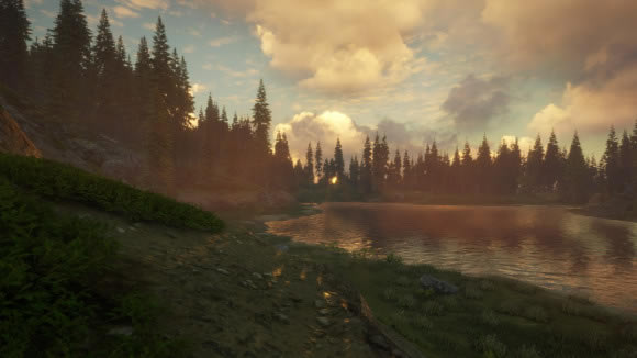 ���˻�Ұ�ĺ���ȫ����ëɫϡ�жȲ�ѯ�� ȫ������ëɫ�Բ��