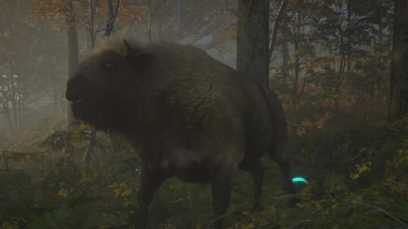 ���˻�Ұ�ĺ���ŷ��Ұţ��λ����  ŷ��Ұţ���Թ���_��վ