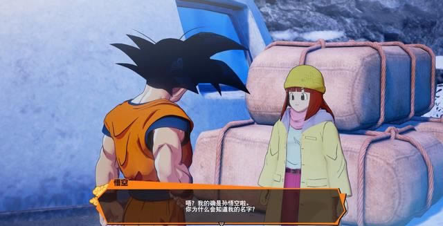 ����Z���������ٴ�����˹ŵ������ ����Ŀ����֧������