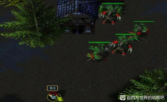 ��������Ľ���6ɭ���ί��֧���������_��վ