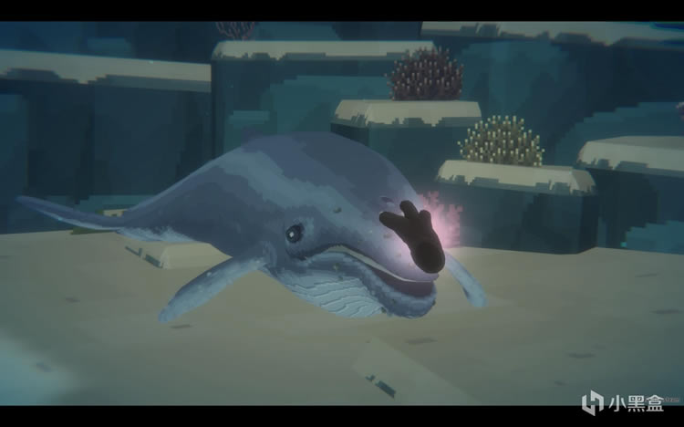 ǱˮԱ����Ѱ��С�����������̹���_��վ