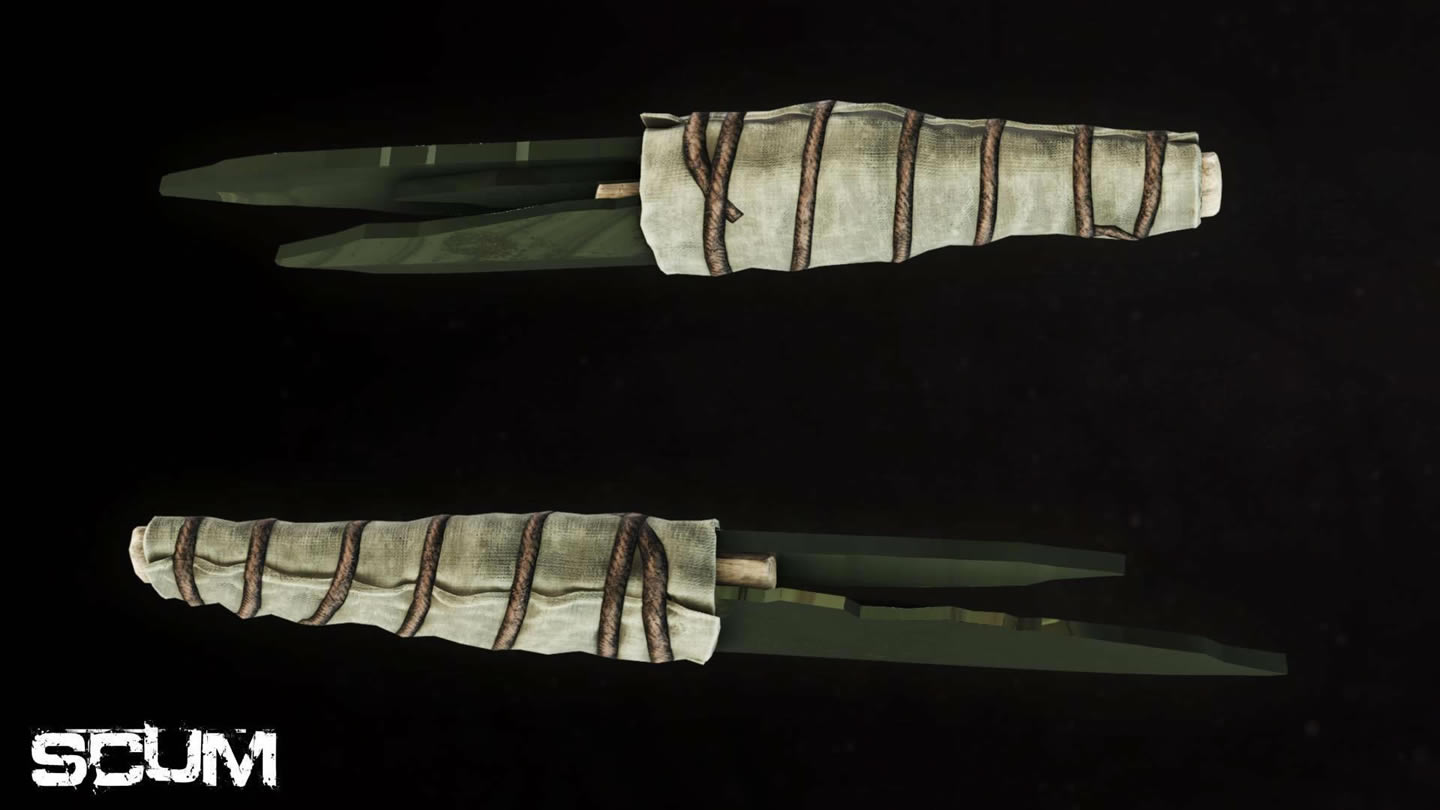 SCUM������������� ������������ʲô