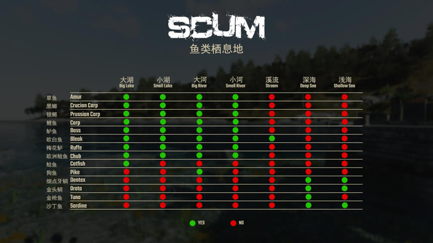 SCUM 0.7ȫ����ֲ�λ�� ����ʱ�估��������_��վ