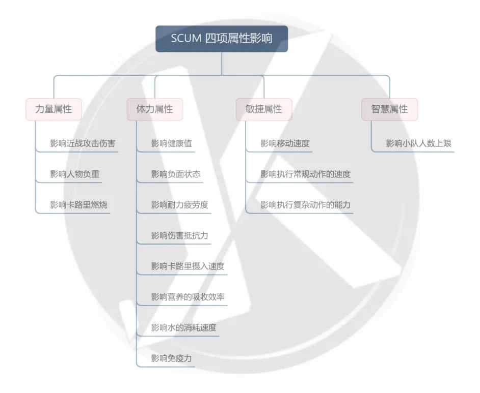 SCUM�ǻ�������ϸ˵�� �ǻ�������ʲô��