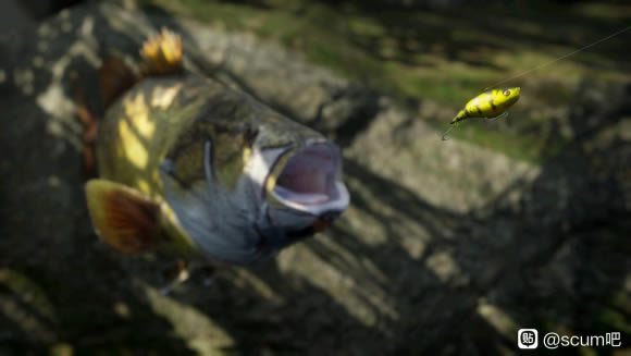 SCUM��������ܽ� ȫ���Ϻ����������