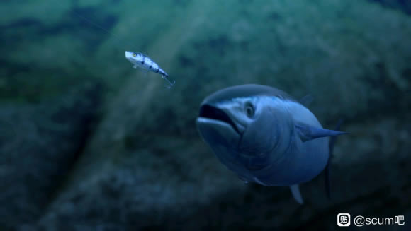 SCUM��ε��� ����������Ʒ�����÷�������