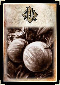 ����������ϸ˵��