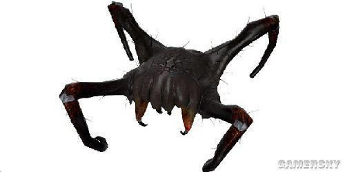 �����ǿ�