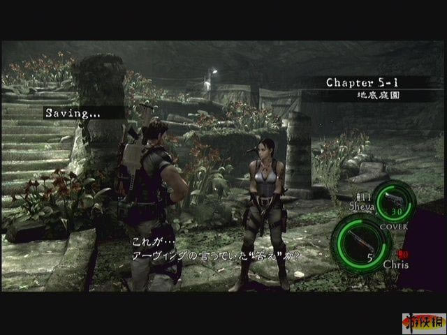 生化危机5——老鸟轻谈第五关_本站