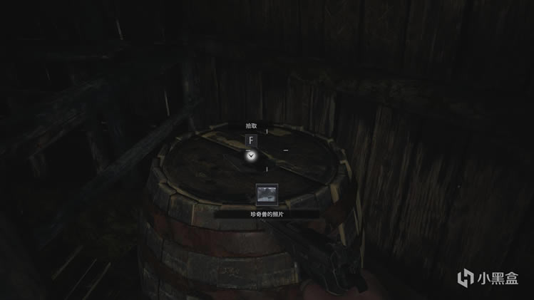 生化危机8珍奇兽的照片在哪 珍奇兽的照片位置一览_本站