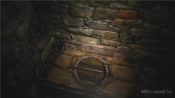 Σ8ʾų չʾϷ漰淨