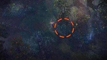 ʧ��ķ���ShangraIsland�����������������_��վ