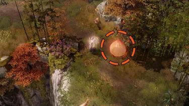 ʧ��ķ���ShangraIsland�����������������_��վ