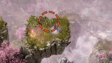 ʧ��ķ���ShangraIsland�����������������_��վ