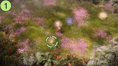 ʧ��ķ���ShangraIsland�����������������_��վ